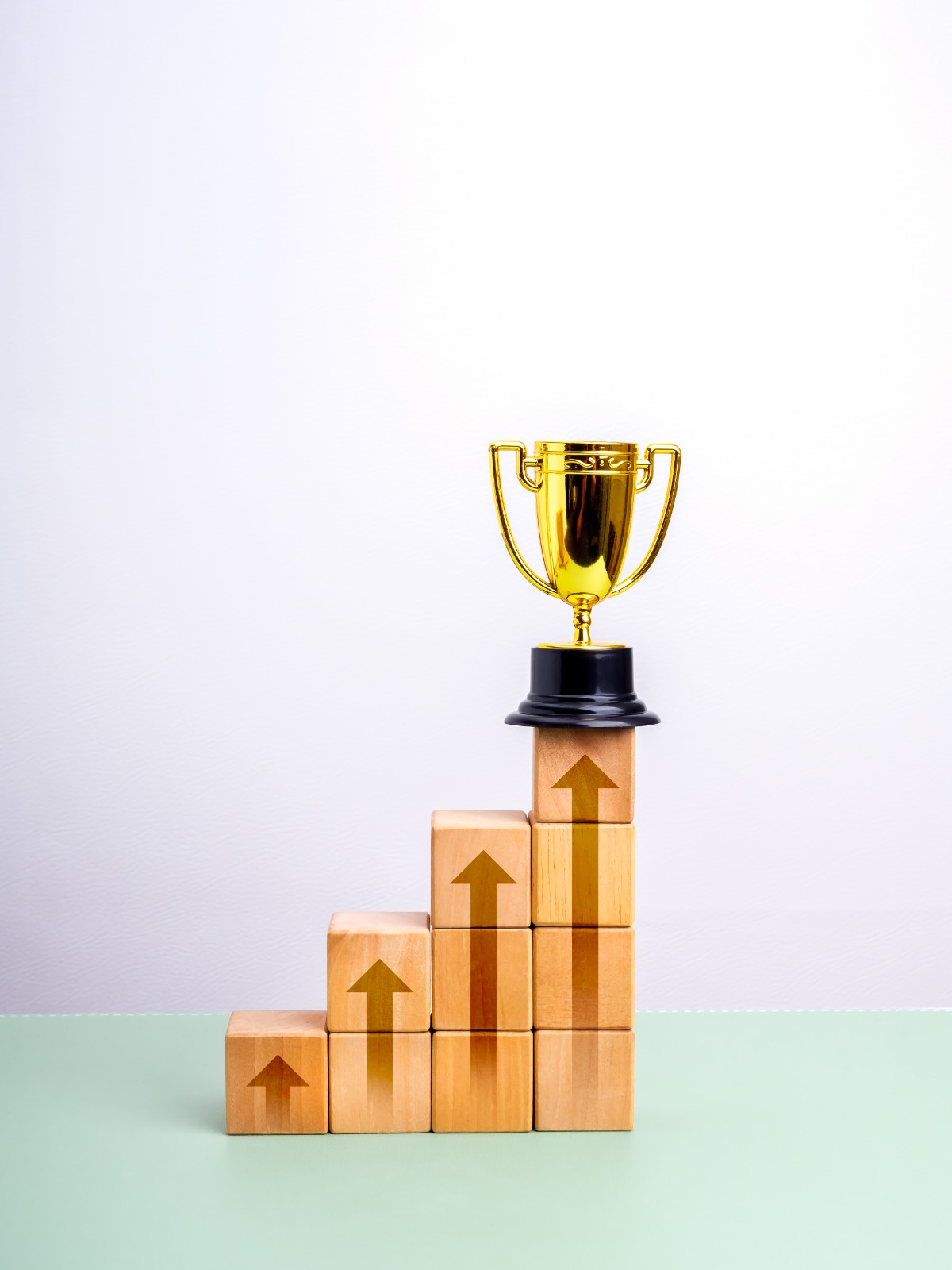 Sky Construction achievement medal for excellence in construction